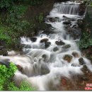 중랑캠핑숲 이미지