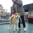 미카 이미지
