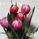 종이접기 & 한지 꽃 공예 이미지