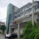 강원도 동해 여행 첫번째 숙박지 어달해바라기 펜션 가성비좋은 오션뷰 숙소