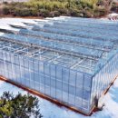 (주)비에스팜 이미지