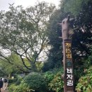 비자림 | 제주도 힐링 여행지 추천｜천년의 숲 비자림 솔직 후기