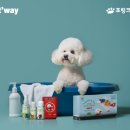 건강하개 이미지