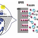 케이에스엠 이미지