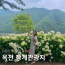 장계 | 충북 옥천 수국명소 장계관광지 6월 말 다녀온 후기