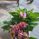 벌막공원 이미지