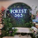 행복한숲 Happy forest | 부천 대형카페 포레스트 365 | 빵 도 많고 공간은 숲 같다