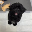 장현 동물병원 이미지