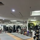 미진휘트니스(64) | 강남역 올드스쿨 미진 헬스장 일일권 솔직 후기