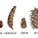 신남성초등학교 이미지