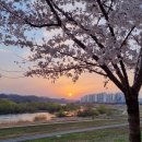 방촌공원 이미지