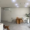 디어멍멍 이미지