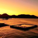 토황민박 이미지