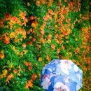 뚝섬한강공원-56 이미지