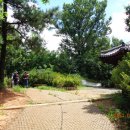 올레길 산림형 2코스 이미지