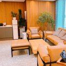 블루망고 이미지