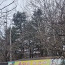 용암리 | 용암리막국수 주말에 단체로 방문 후기 (맛잘알 메뉴추천)