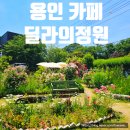 용인 식물원 카페 딜라의정원 장미축제 후기