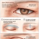 THE COSMETIC 이미지