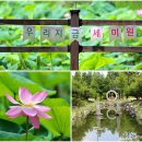 양평 가볼만한곳 양평 세미원 연꽃 드라이브 코스