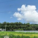 고미마을회관 이미지