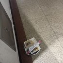 향도장 | [배달 맛집] 중국집 향도장! 탕짜면 내돈내산 후기!