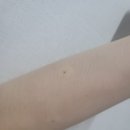 목동사이렌의원 이미지