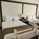 호텔M타워 이미지