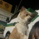 김가네주유소 이미지