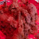 훗닭훗닭장작구이 이미지