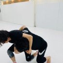 체인 그래플링 이미지