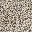 박종철농장 이미지