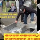 루나에스텍 이미지