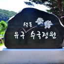 충남공주 유구색동수국정원 이미지