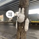 종로 야장 내돈내산 후기 ♨