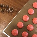 [ 공지 ] 11월 Macaron CLass 공지 ( 정규반클래스 ) 베이킹클래스수업 / 마카롱원데이클래스