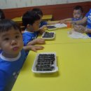 죠이랜드 이미지