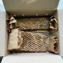 여왕벌 | 택배로 양봉 여왕벌 구입 후기 / 종봉 구입