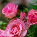 멋진 하루 이미지