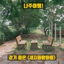 친환경 원예생활 테라리움아트 | 나주여행! 7월 가볼만한곳! 걷기 좋은 세지화탑마을