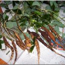 성곡농장 이미지