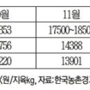 [긴급진단]비수기에도 한우가격 강세 언제까지 가능할까? 이미지