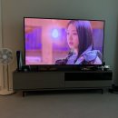 스머프어린이집 | 사진일상기록-; 250106 - 0112 (1개월 아기 3살 고양이)
