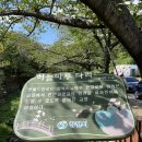 카페온로드존 | [창원] 창원, 진해 관광지 추천 여름철 시원하게 산책하기 좋은 진해내수면환경생태공원
