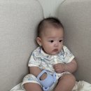 코끼리셀프 | 구강기 시작된 아기에게 추천하는 손목 치발기! 모윰 코끼리 치발기 사용 후기