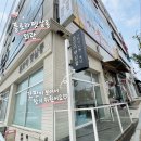 베베펫 천안 애견미용 | 천안애견미용 추천｜신방동 쌍용동 가까운 플로라펫살롱 동동이 미용 후기 🐶✂️