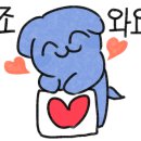 다한투어 이미지