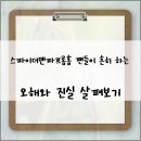 스파이더맨 파프롬홈 | 스파이더맨파프롬홈 팬들이 흔히 하는 오해와 진실 살펴보기
