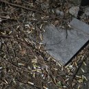 양지마을 1길 이미지