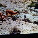 검 단 로 이미지